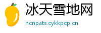 冰天雪地网